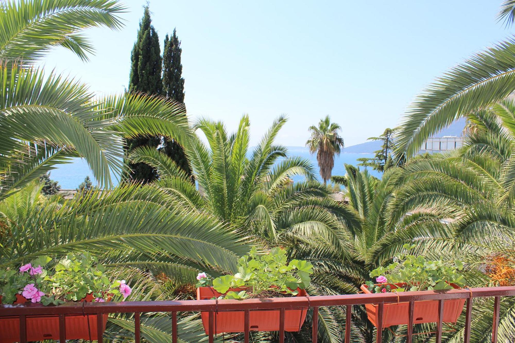 Apartmani I Sobe Goca Herceg Novi Exterior photo